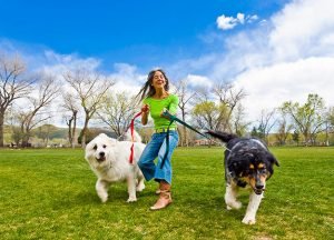 Exercising With Your Dog